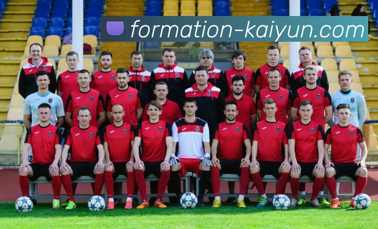 开云app平台生态图